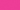 fuchsia fuchsia